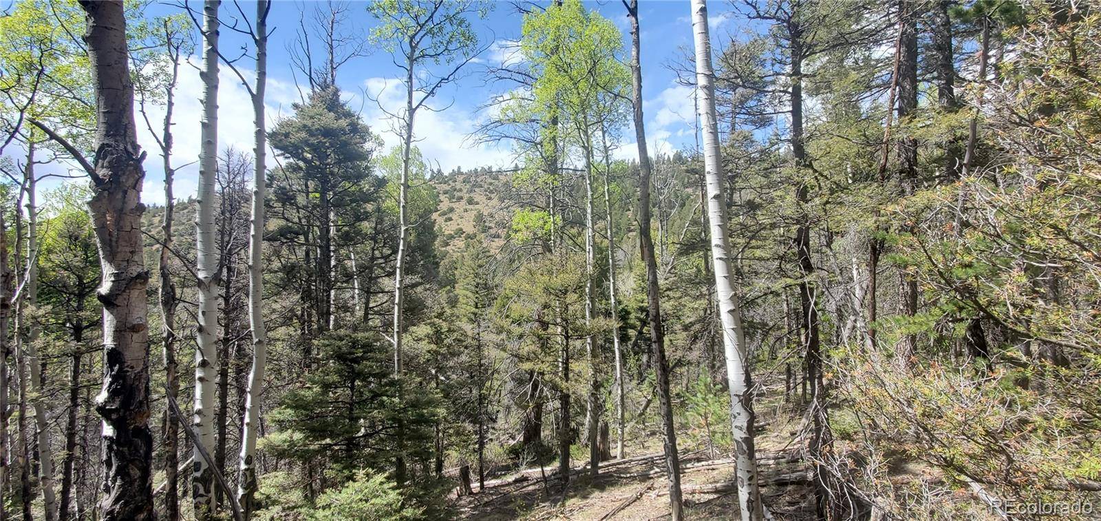 Lot 5610 Dawson RD, Fort Garland, CO 81133