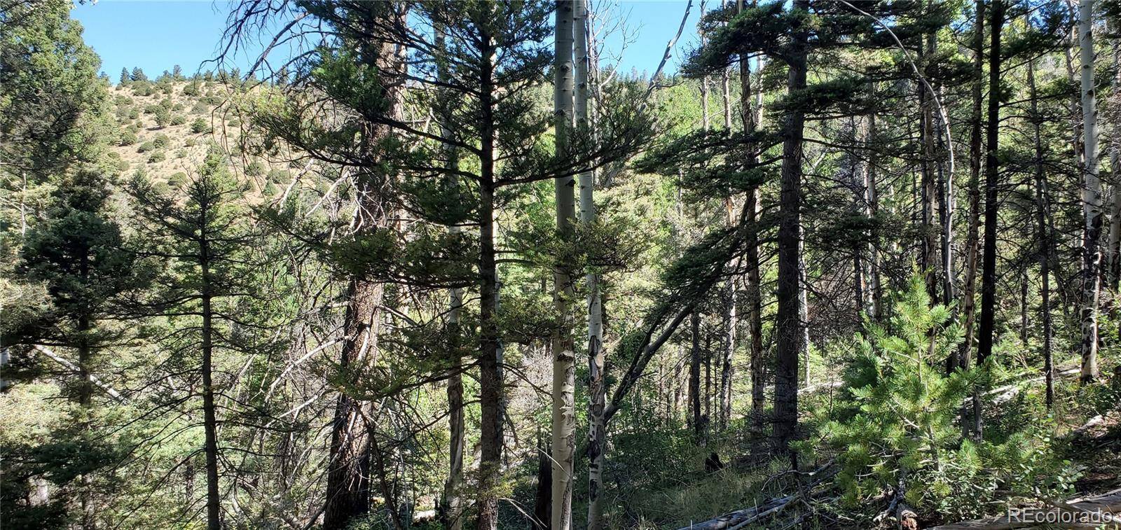 Lot 5610 Dawson RD, Fort Garland, CO 81133
