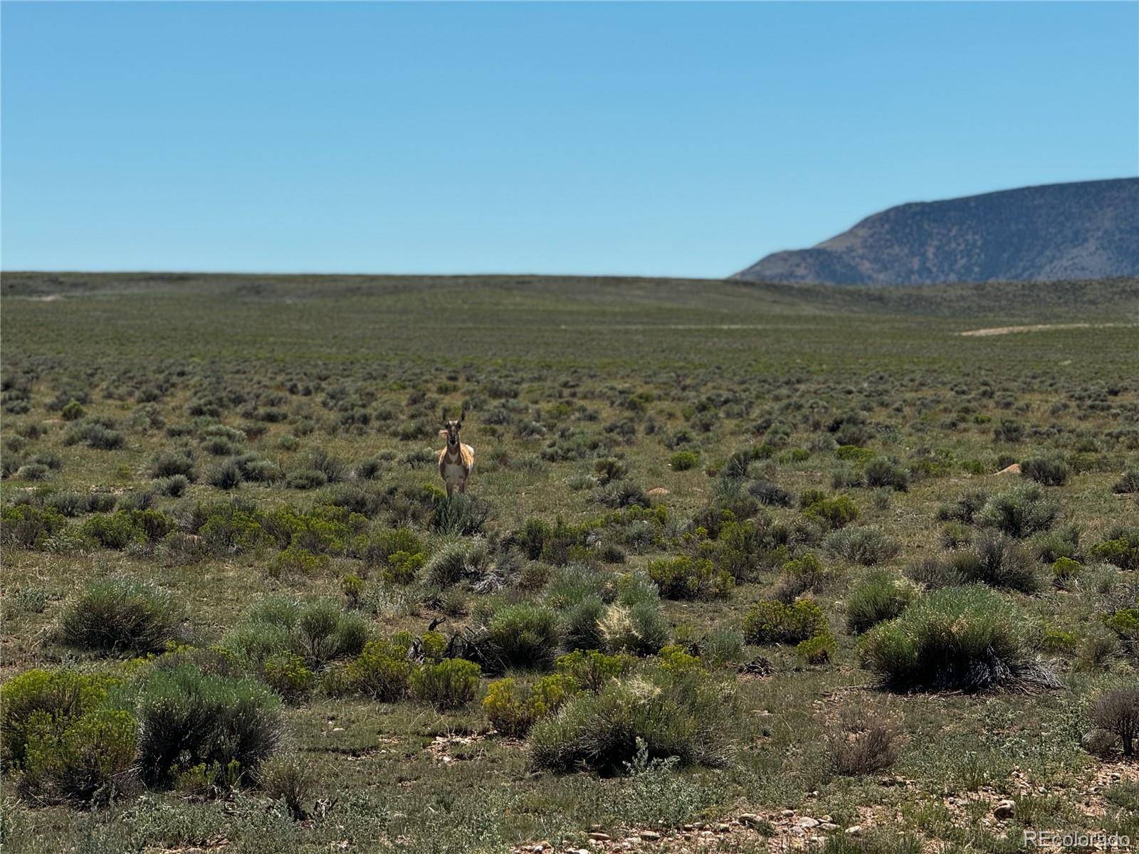 Lot 18 Russ RD, San Luis, CO 81152