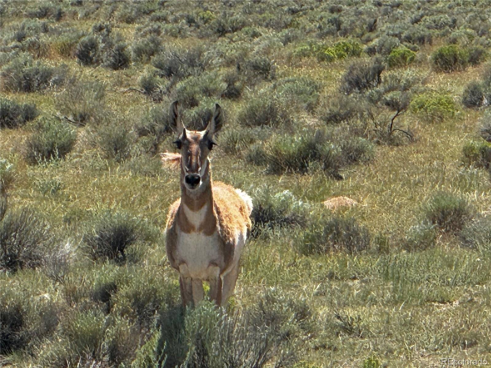 Lot 18 Russ RD, San Luis, CO 81152