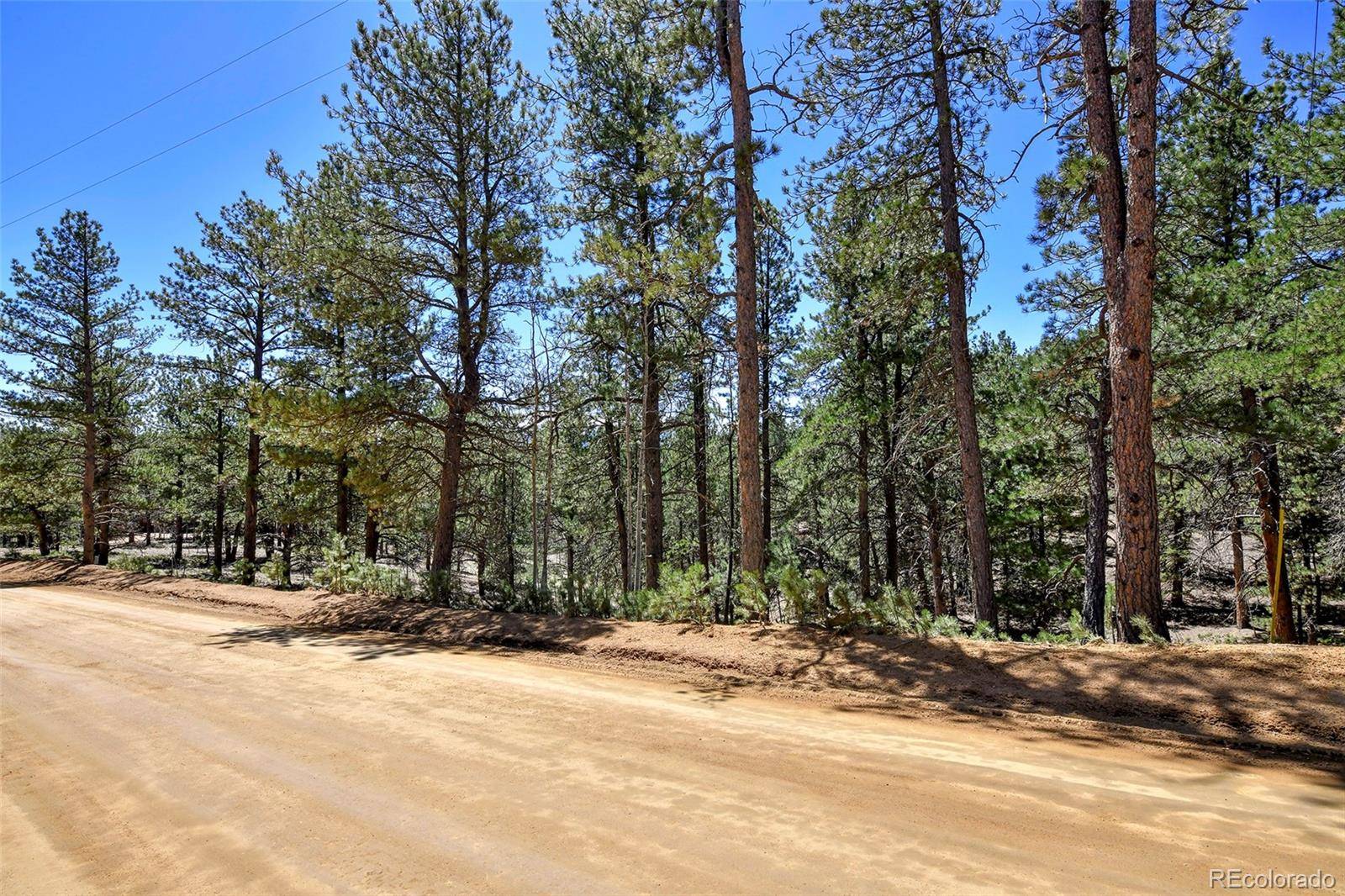 860 Spring Valley DR, Divide, CO 80814