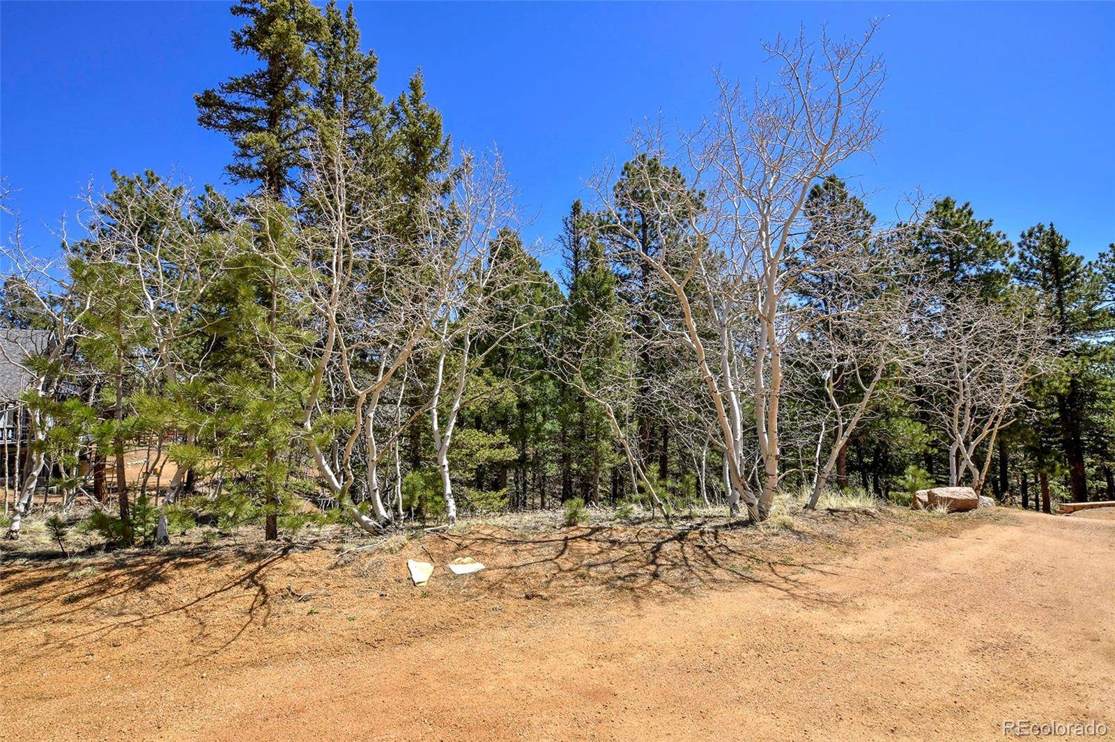 860 Spring Valley DR, Divide, CO 80814