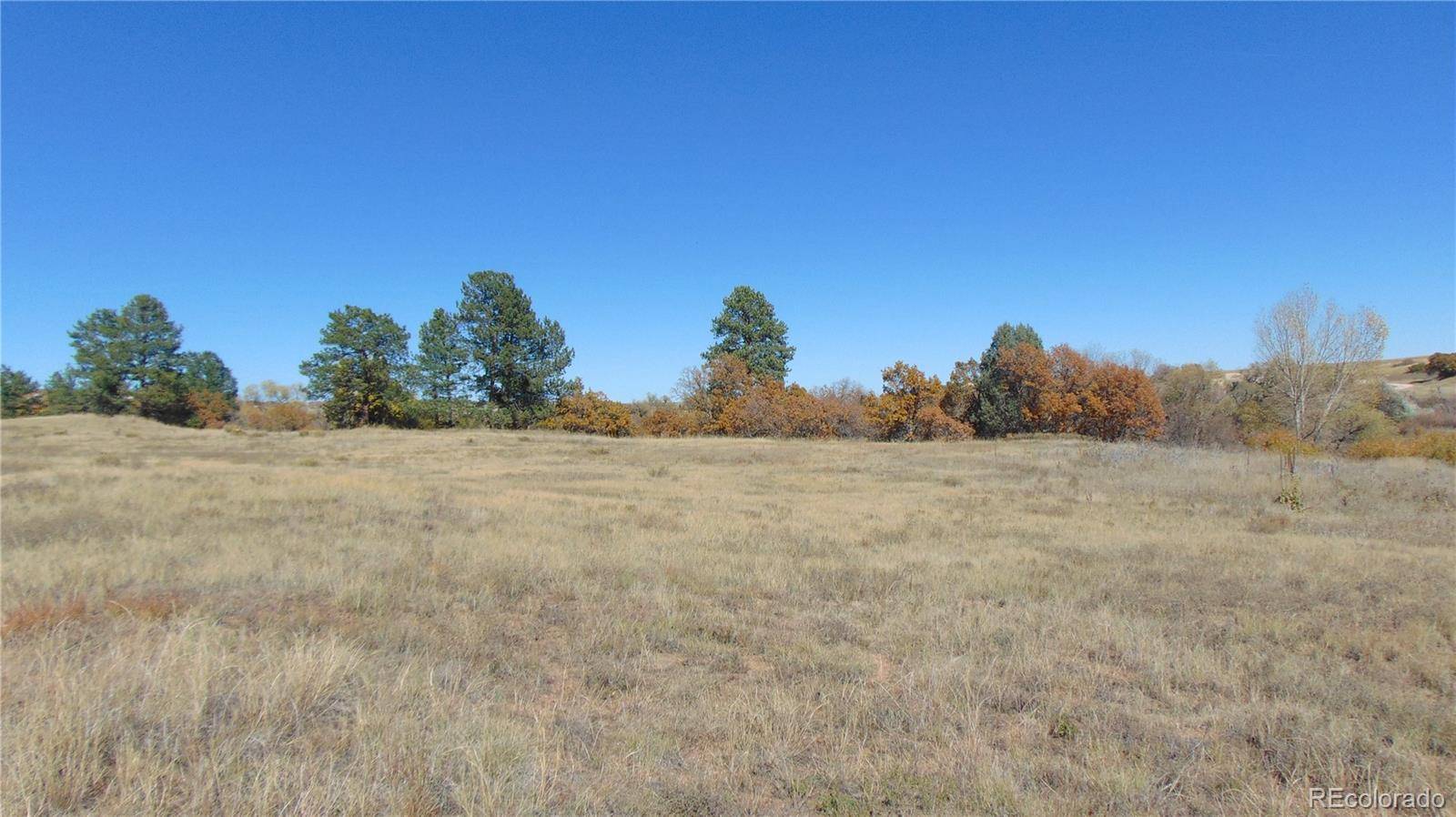 4771 Jackson Creek RD, Sedalia, CO 80135