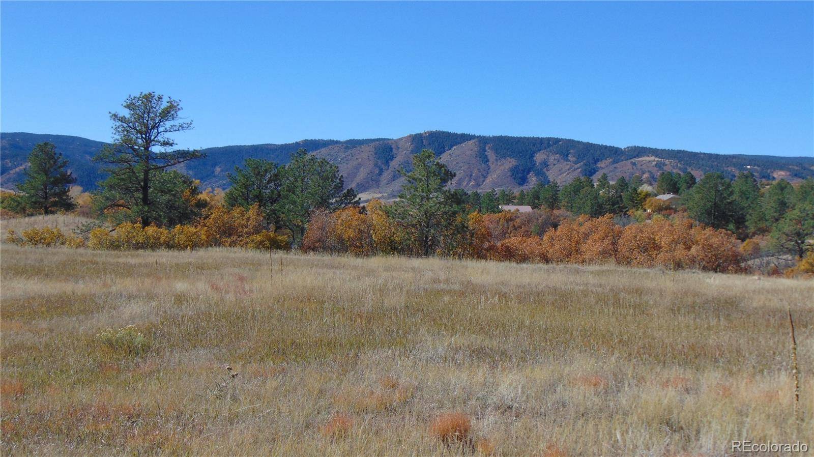 4771 Jackson Creek RD, Sedalia, CO 80135