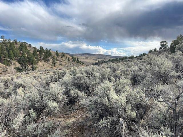 Lot 166 Griffiths DR, Fort Garland, CO 81133