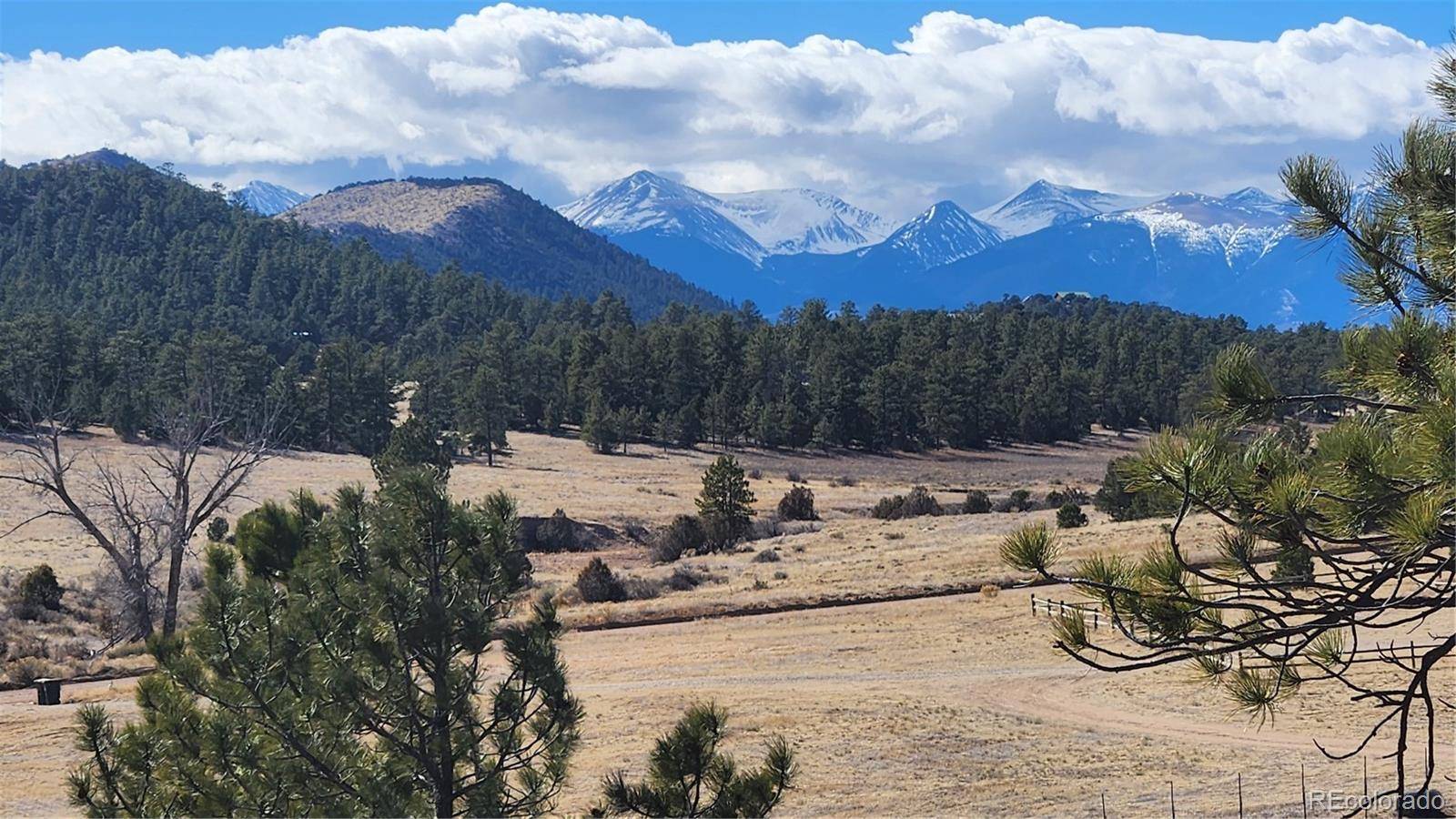 47 White Cloud DR, Cotopaxi, CO 81223