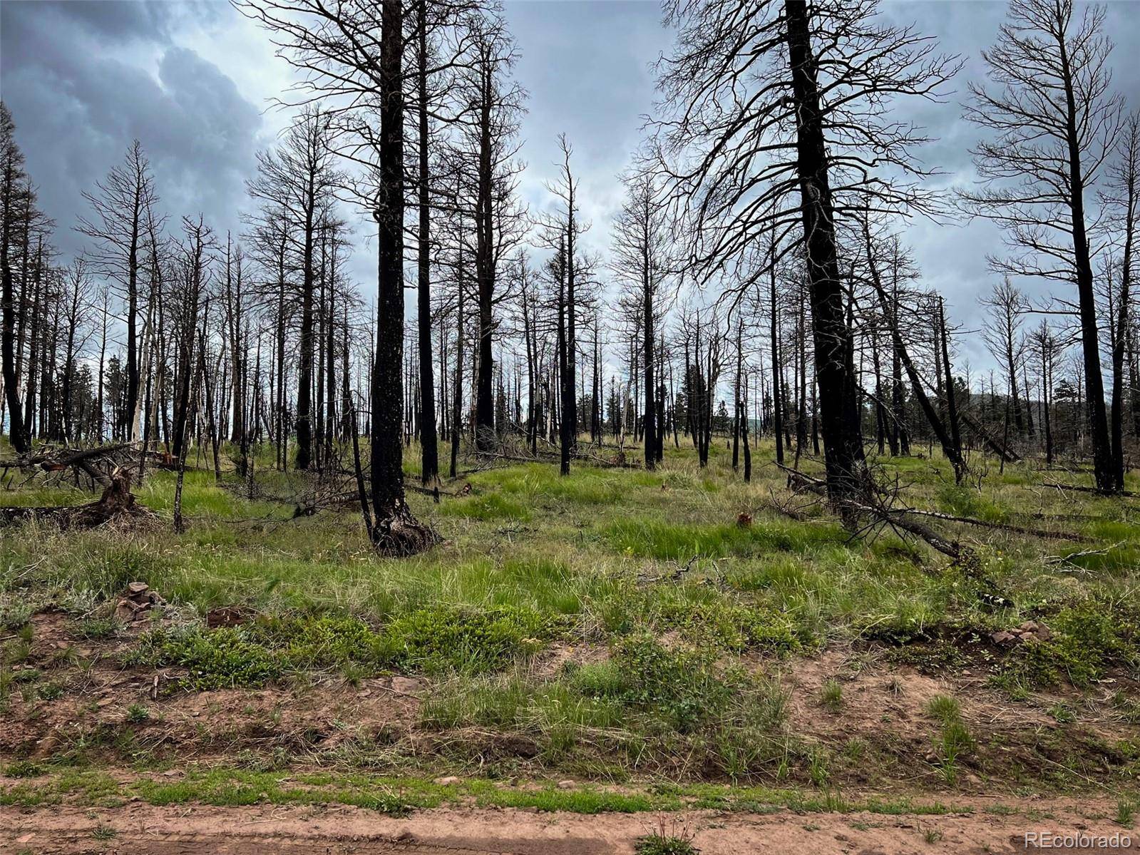 LOT 591 Leslie LOOP, Fort Garland, CO 81133