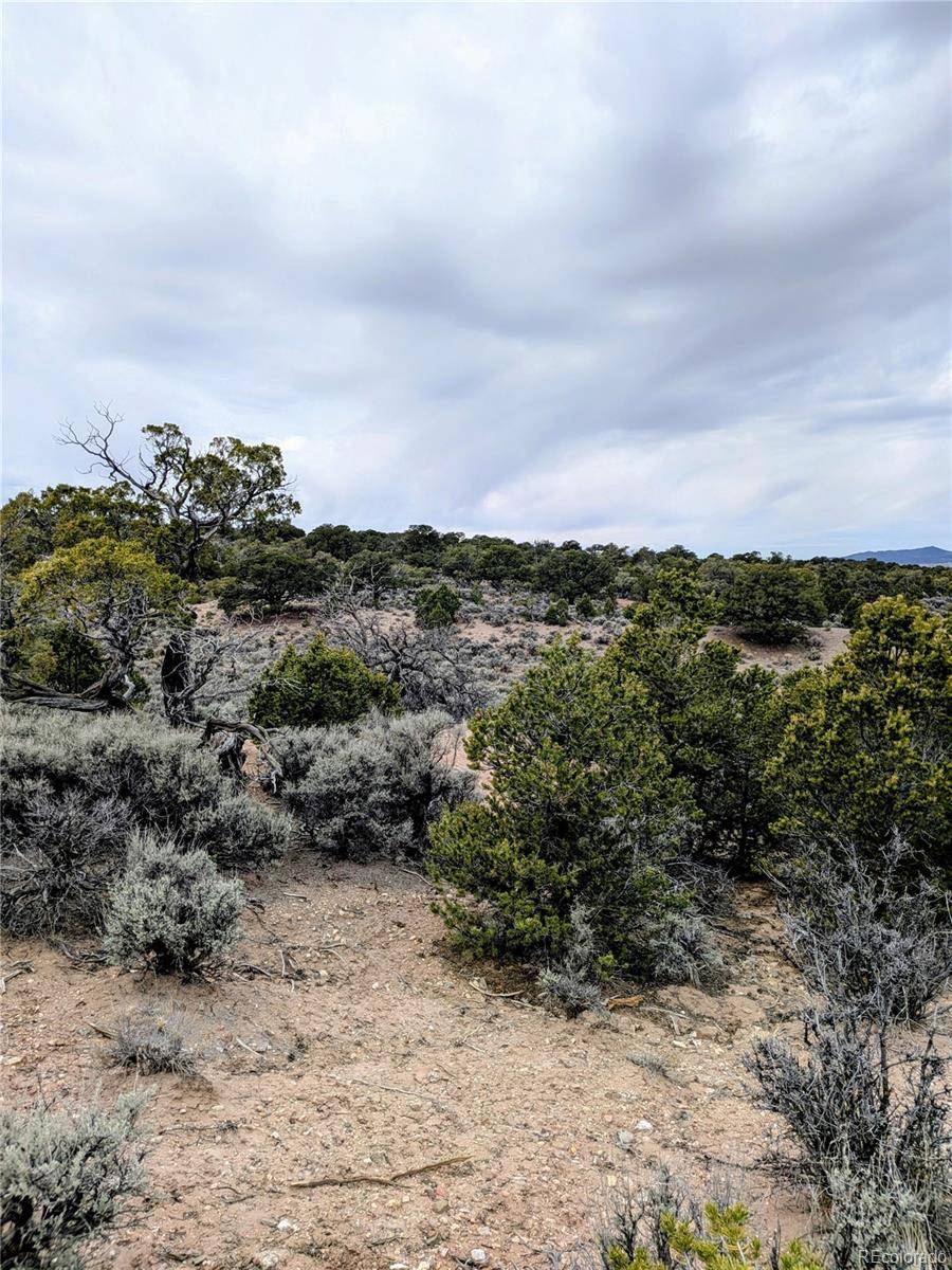 Lot 3589 Freylinghuysen RD, Fort Garland, CO 81133