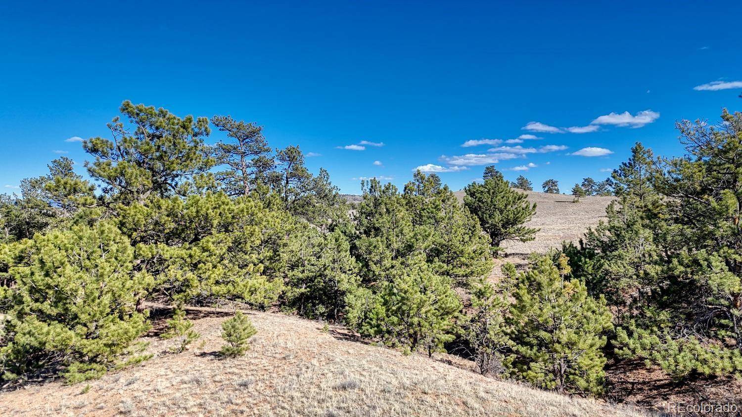 Lot 5090 & 5097 Arikara, Hartsel, CO 80449