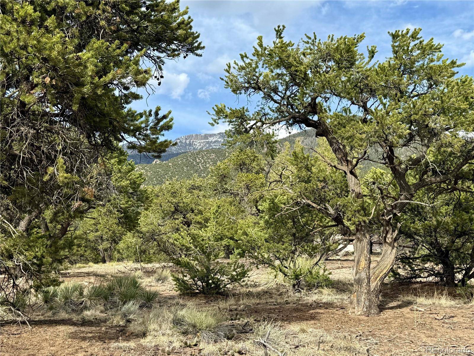 3503 N Bivouac Overlook, Crestone, CO 81131