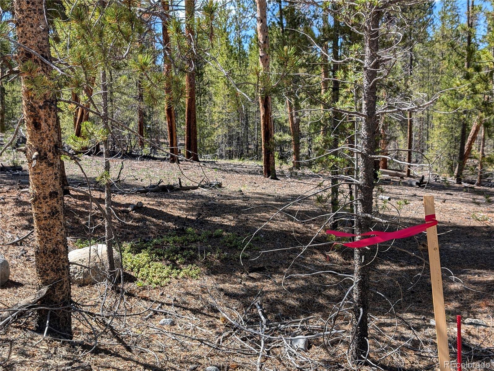 495 Birch DR, Twin Lakes, CO 81251