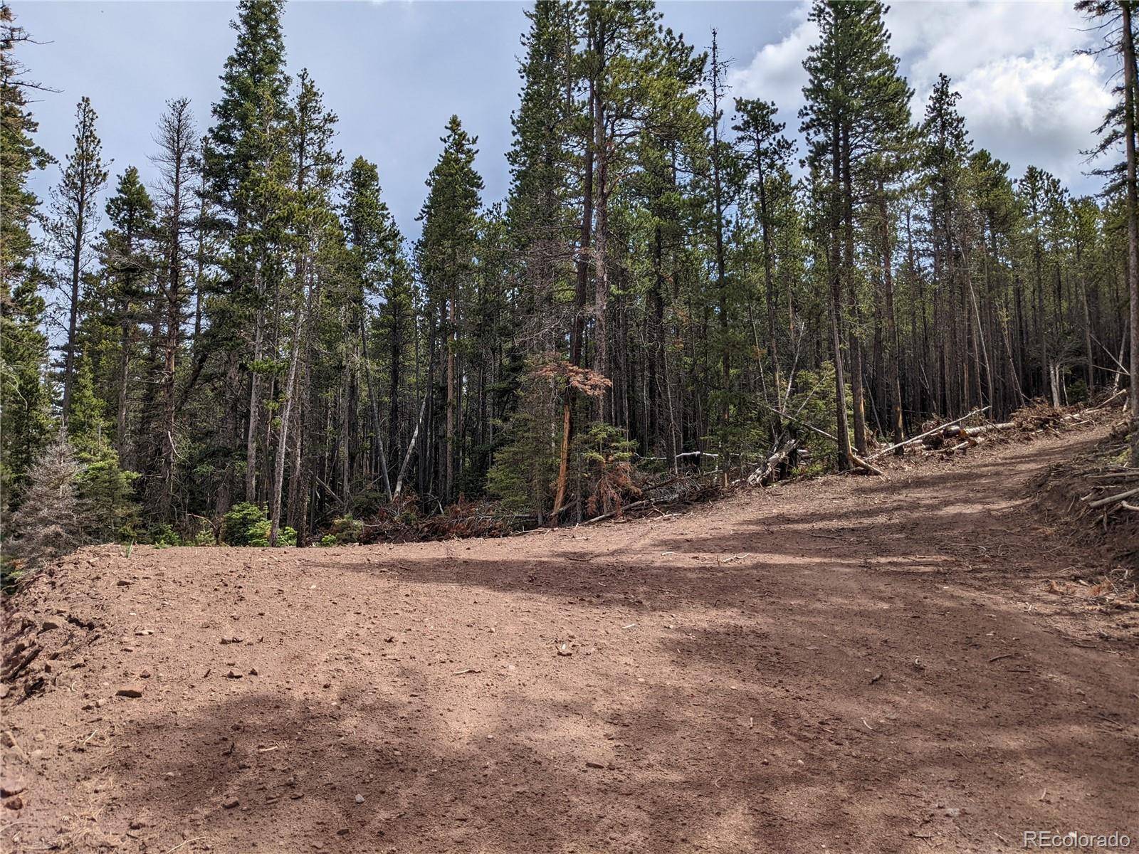 3331 Purnell LN, Fort Garland, CO 81133