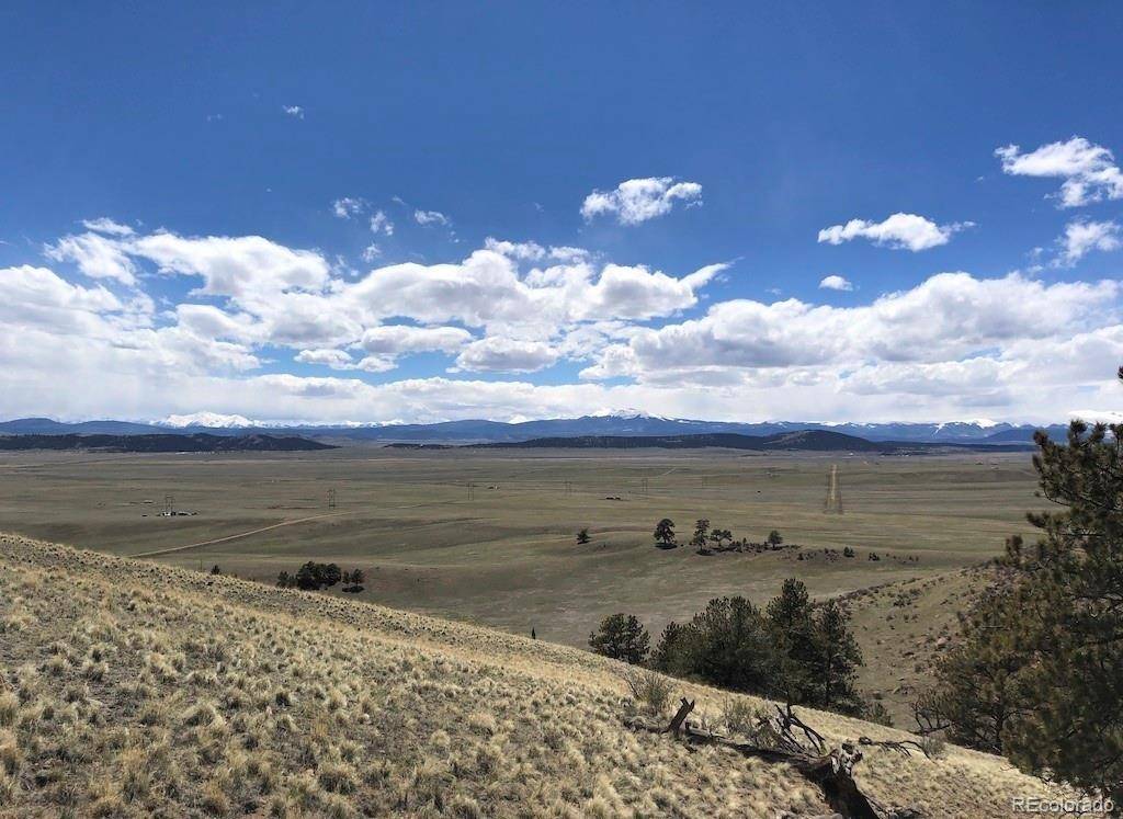 Lot 11 Willow ST, Hartsel, CO 80449