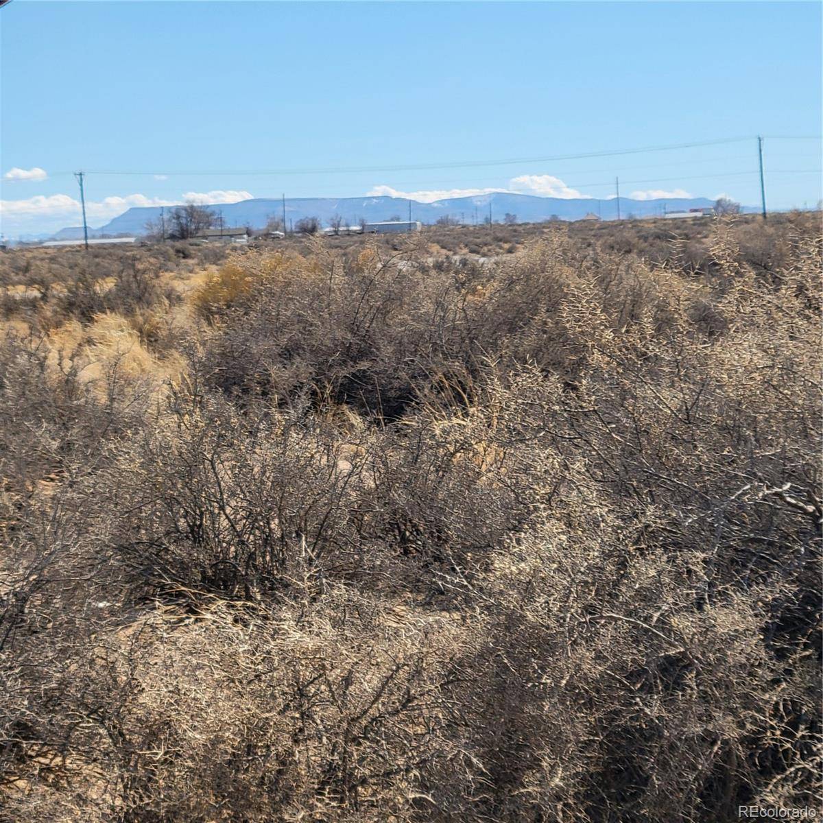 54 ac m/l Chico ST, Alamosa, CO 81101
