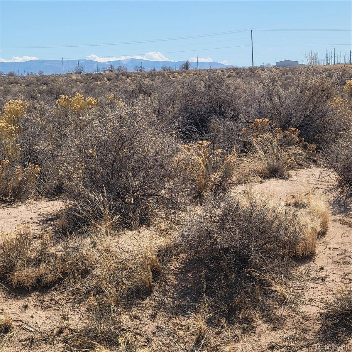 54 ac m/l Chico ST, Alamosa, CO 81101