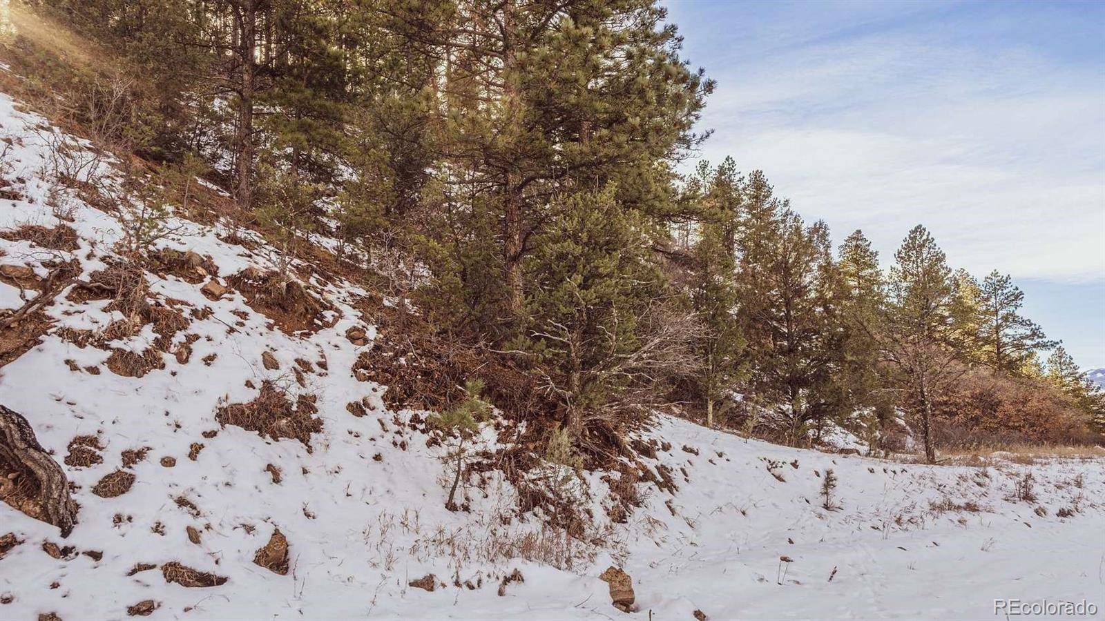 Gulch RD, Cotopaxi, CO 81223