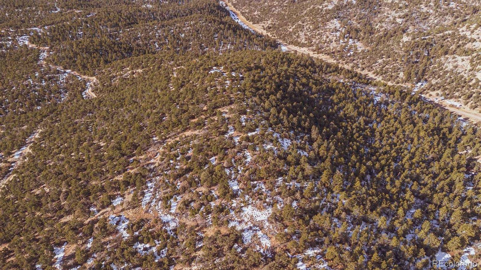 Gulch RD, Cotopaxi, CO 81223