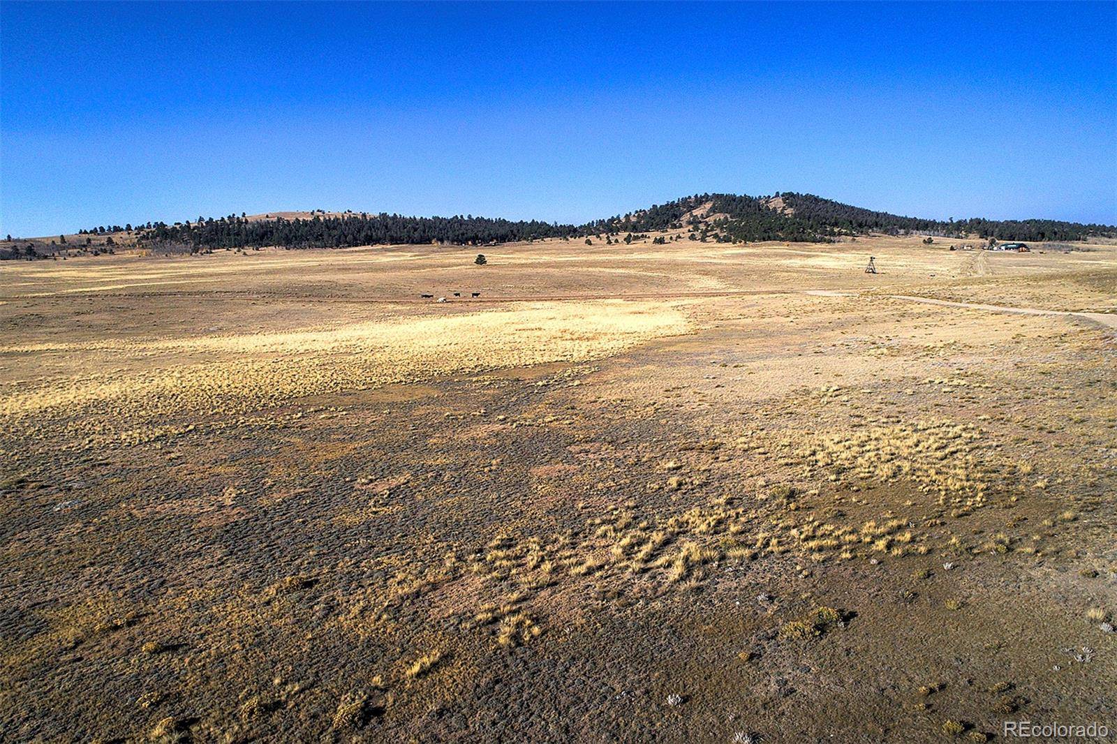 9128A Elkhorn RD, Hartsel, CO 80449