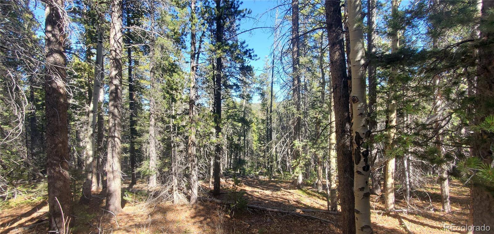 Lot 3023 & 3024 Bolwell LN, Fort Garland, CO 81133