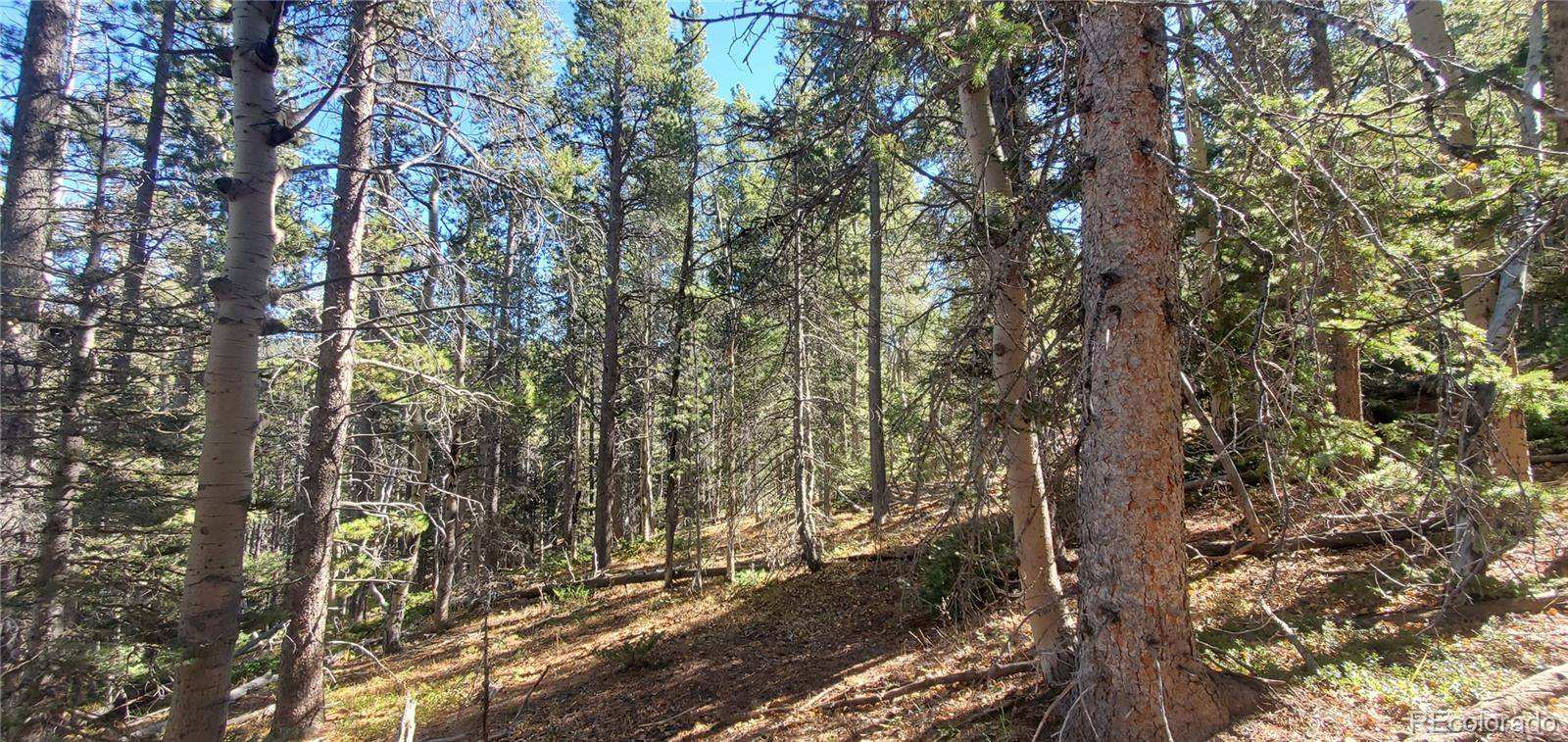 Lot 3023 & 3024 Bolwell LN, Fort Garland, CO 81133