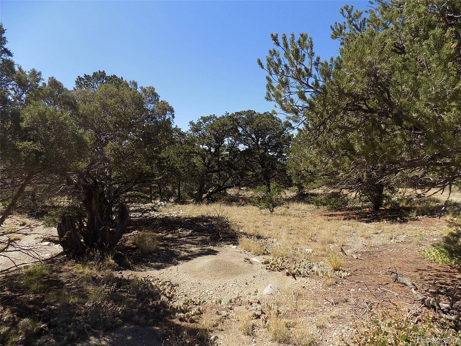 Little Bear RD, Mosca, CO 81146
