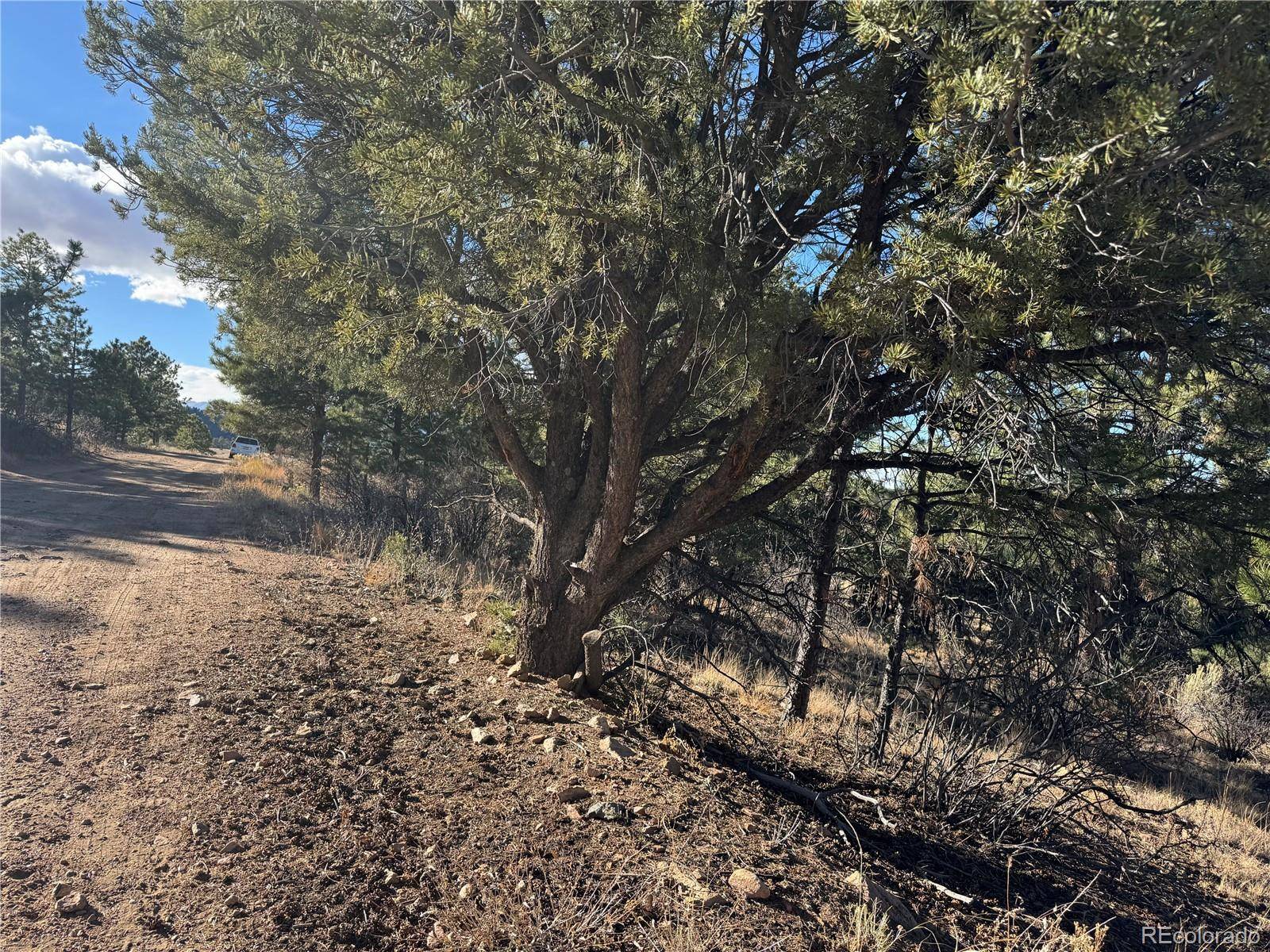 Lot 35 Stephens DR, Westcliffe, CO 81252