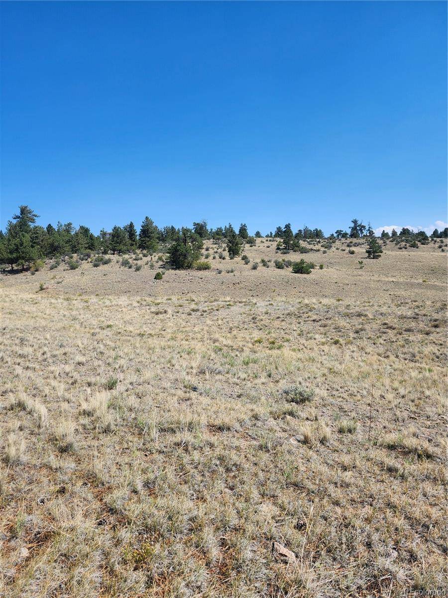 64 Bandana RD, Hartsel, CO 80449