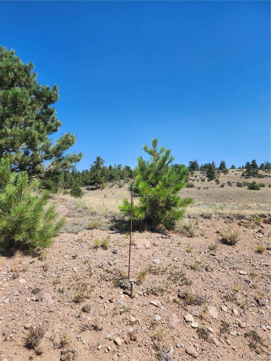 64 Bandana RD, Hartsel, CO 80449