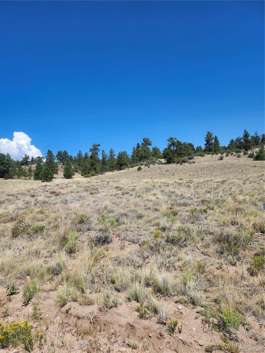 64 Bandana RD, Hartsel, CO 80449