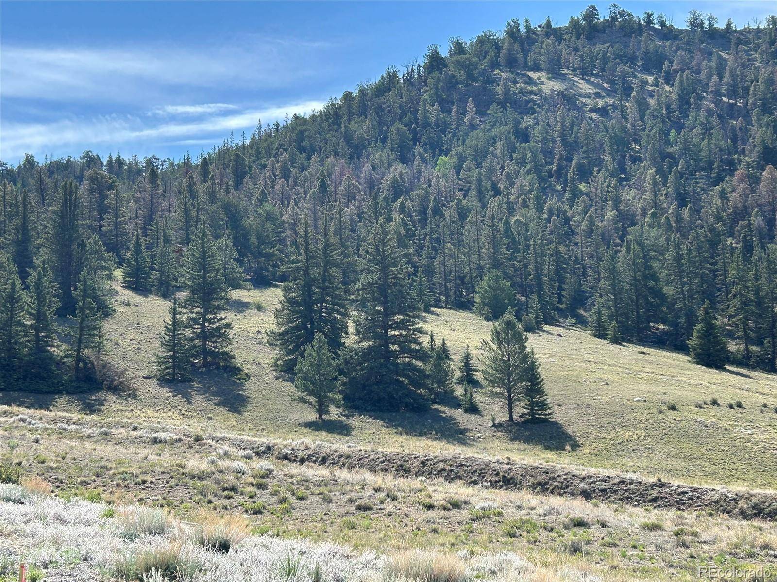 HWY 285/24, Buena Vista, CO 81211