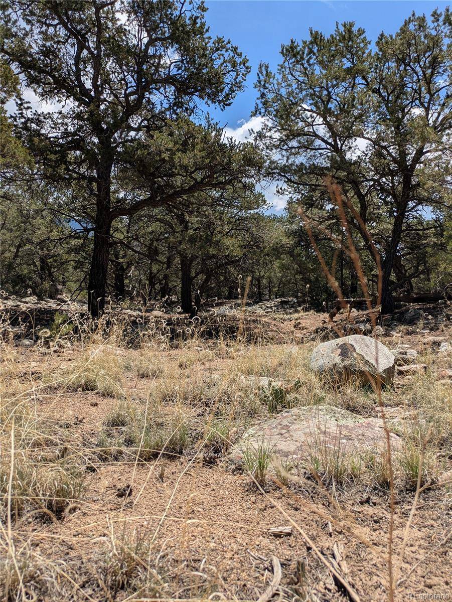3729 Enchanted WAY, Crestone, CO 81131