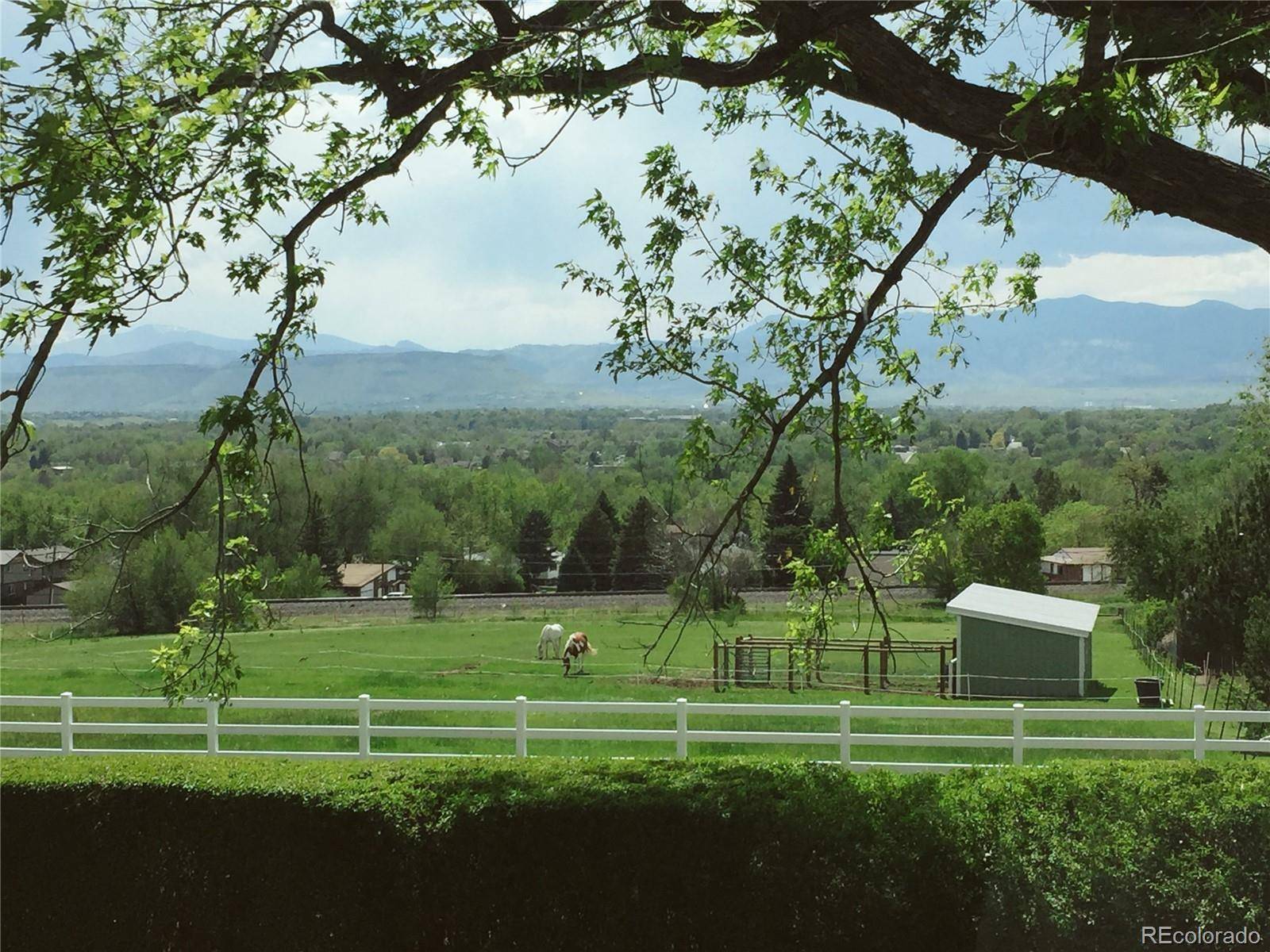 6490 Garland ST, Arvada, CO 80004