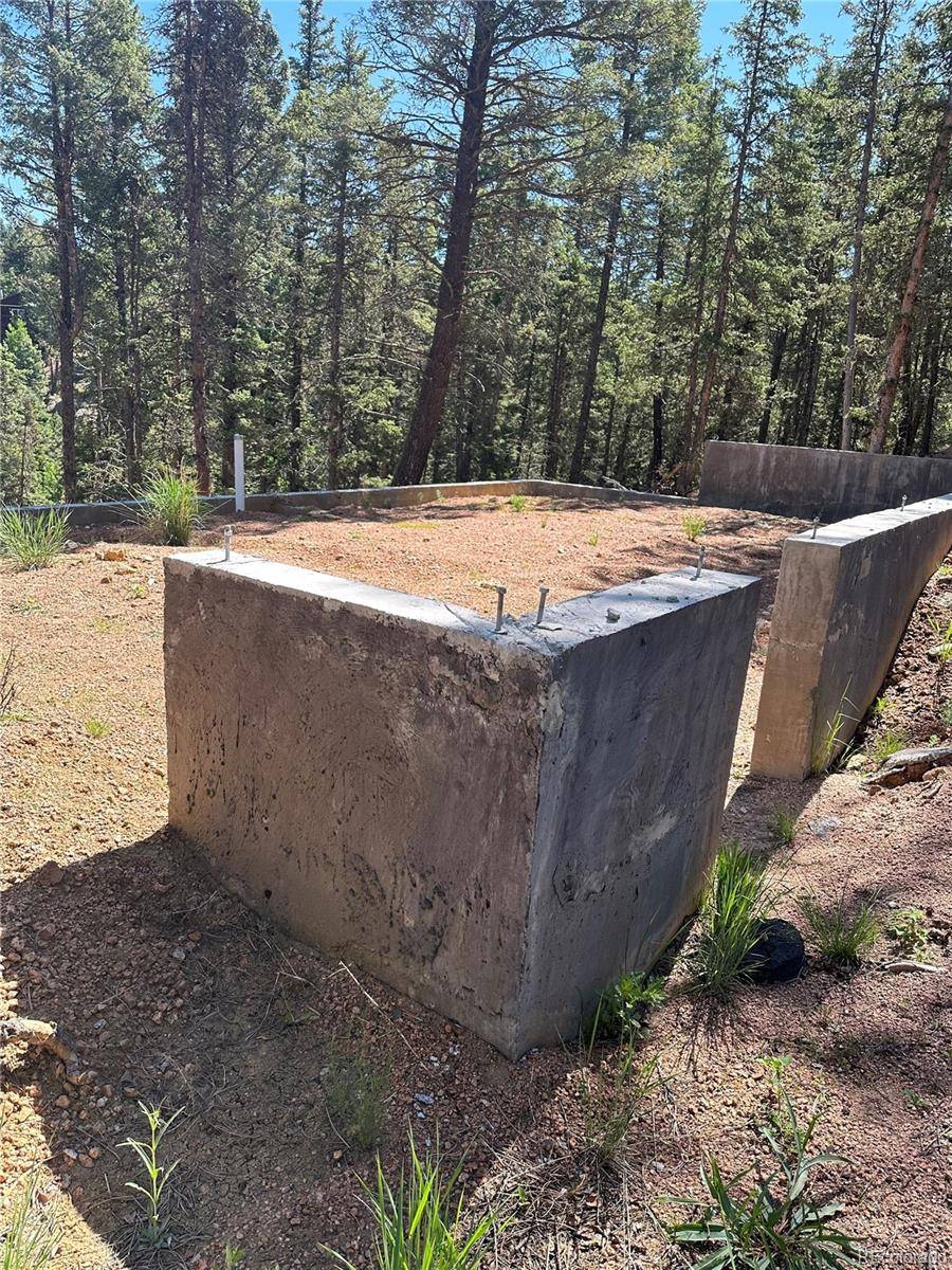 67 Gerka LN, Florissant, CO 80816