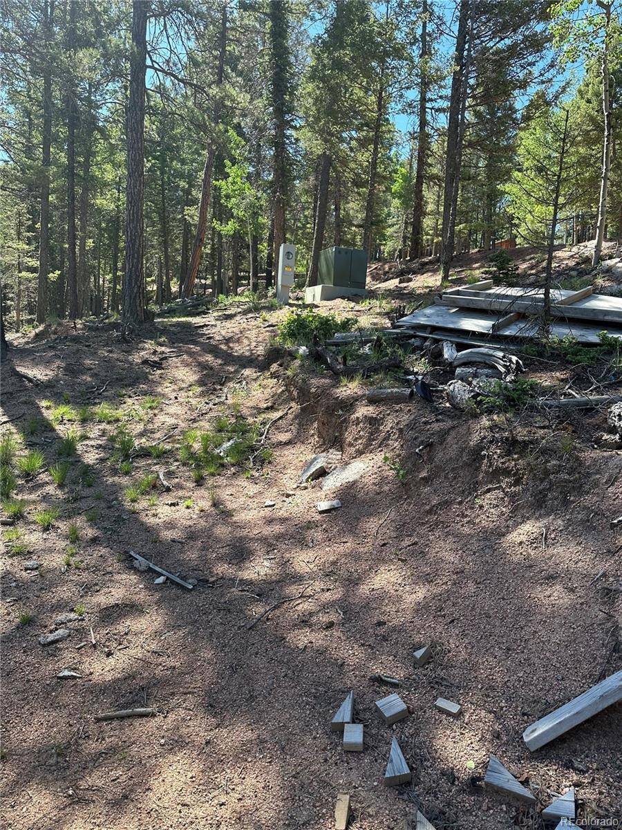 67 Gerka LN, Florissant, CO 80816
