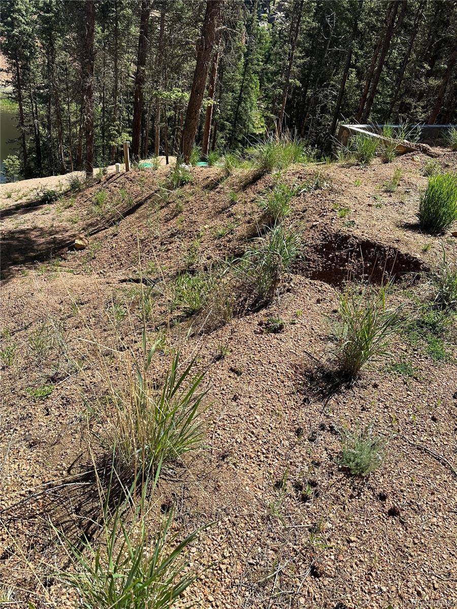67 Gerka LN, Florissant, CO 80816
