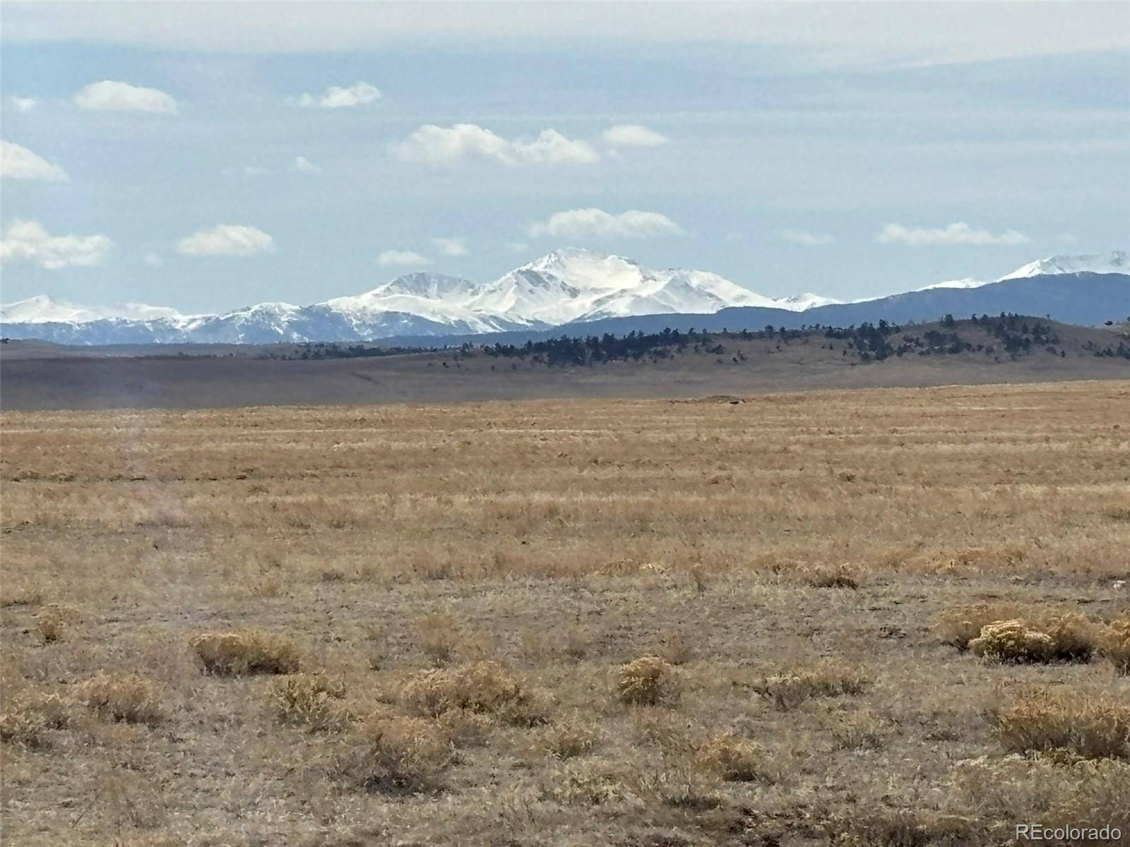 6600 Routt RD, Hartsel, CO 80449