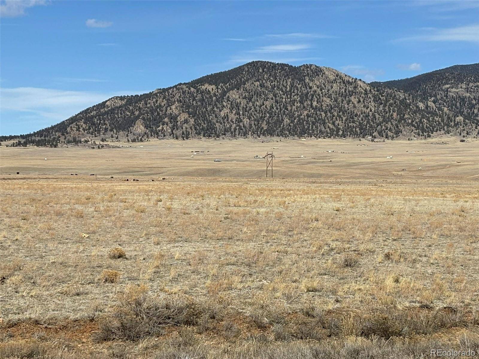 6600 Routt RD, Hartsel, CO 80449