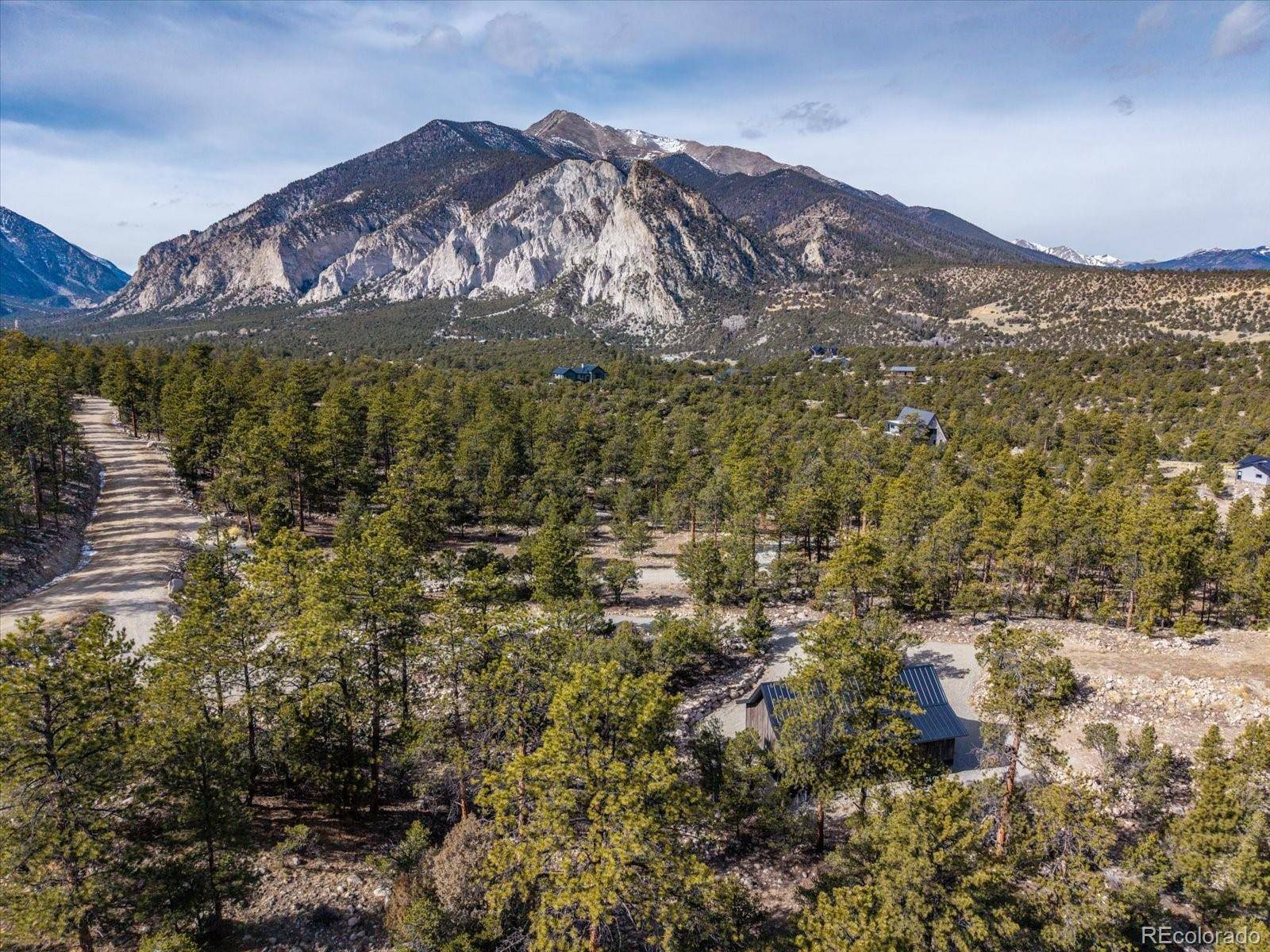 21160 Skyline DR, Nathrop, CO 81236