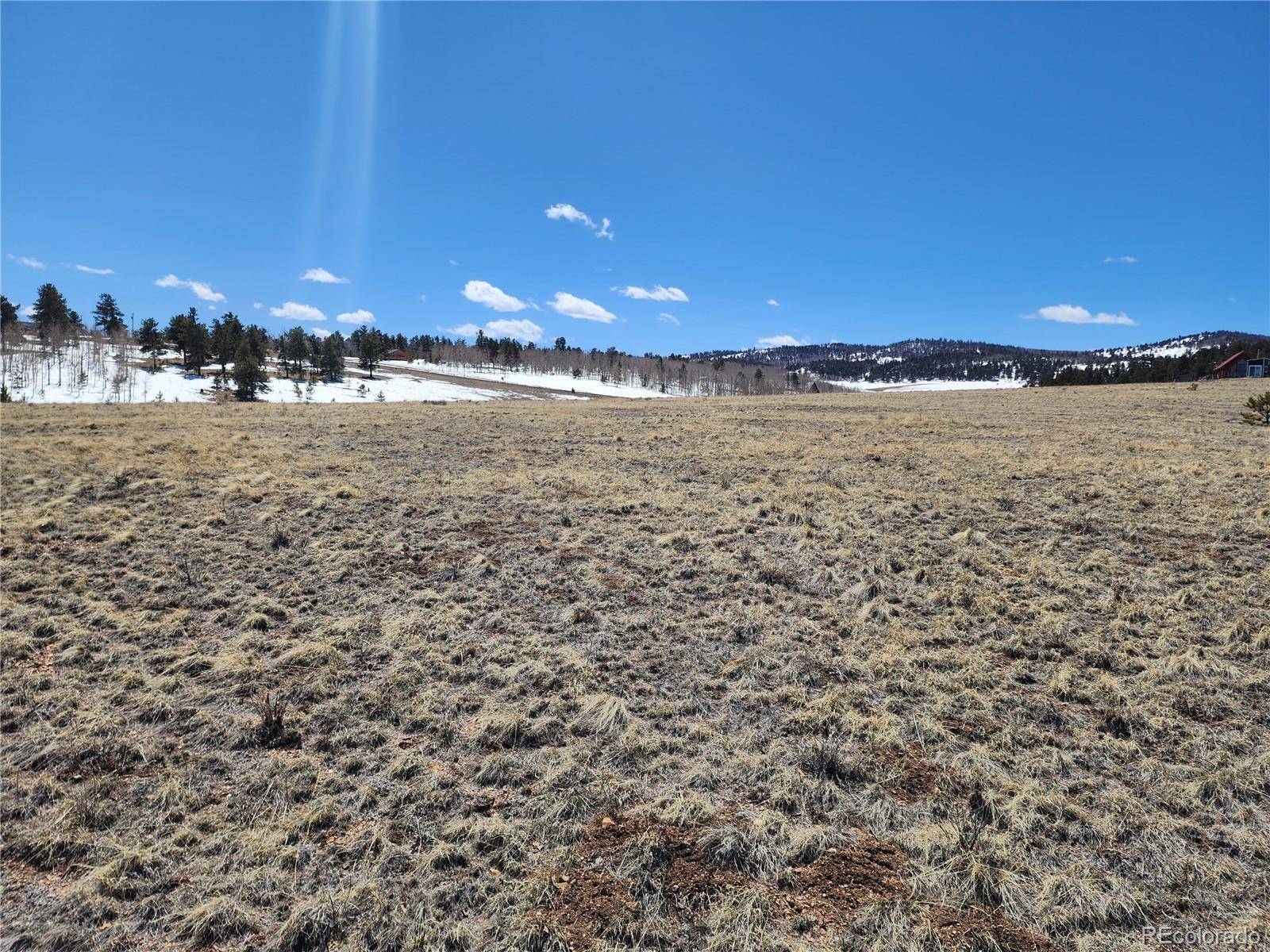 244 Brahma CIR, Hartsel, CO 80449