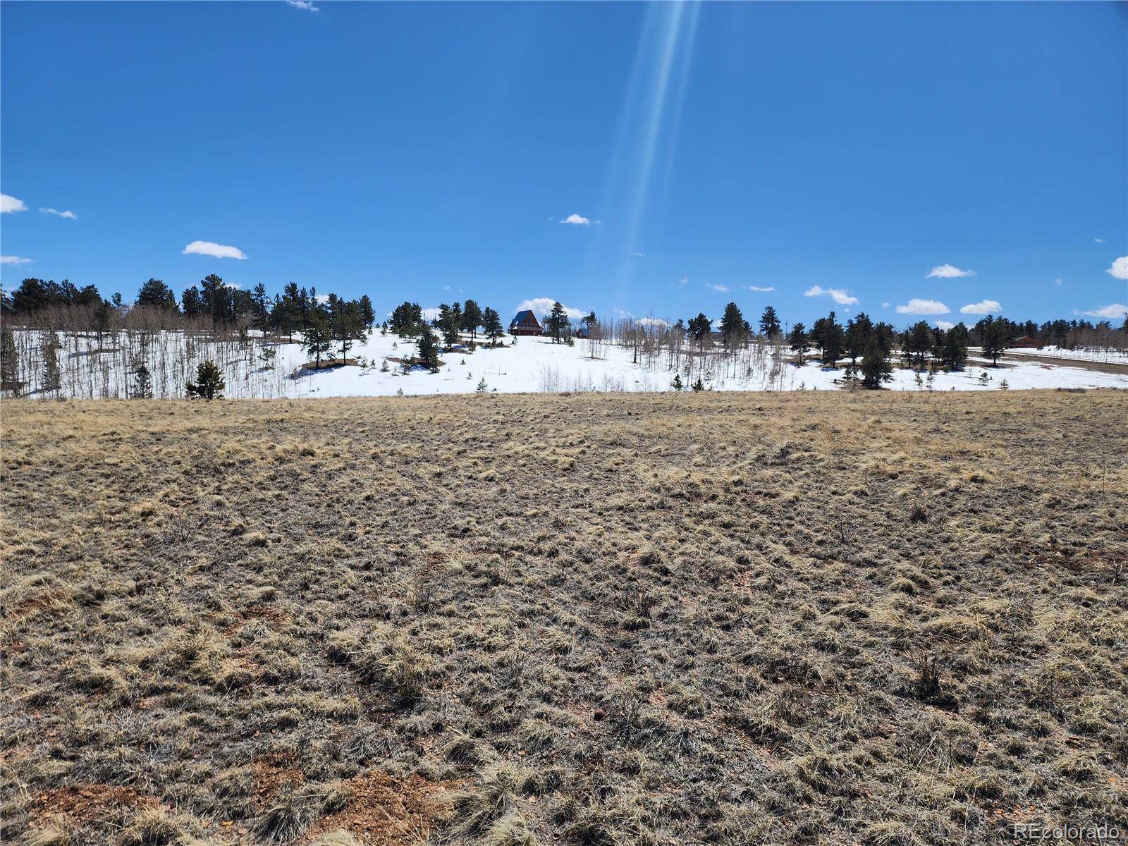 244 Brahma CIR, Hartsel, CO 80449