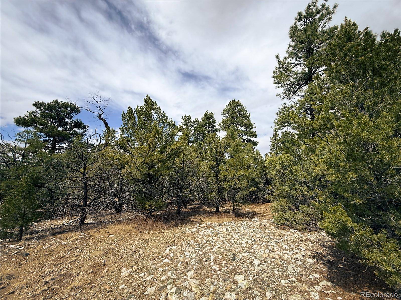 76 Mill Run RD, Mosca, CO 81146