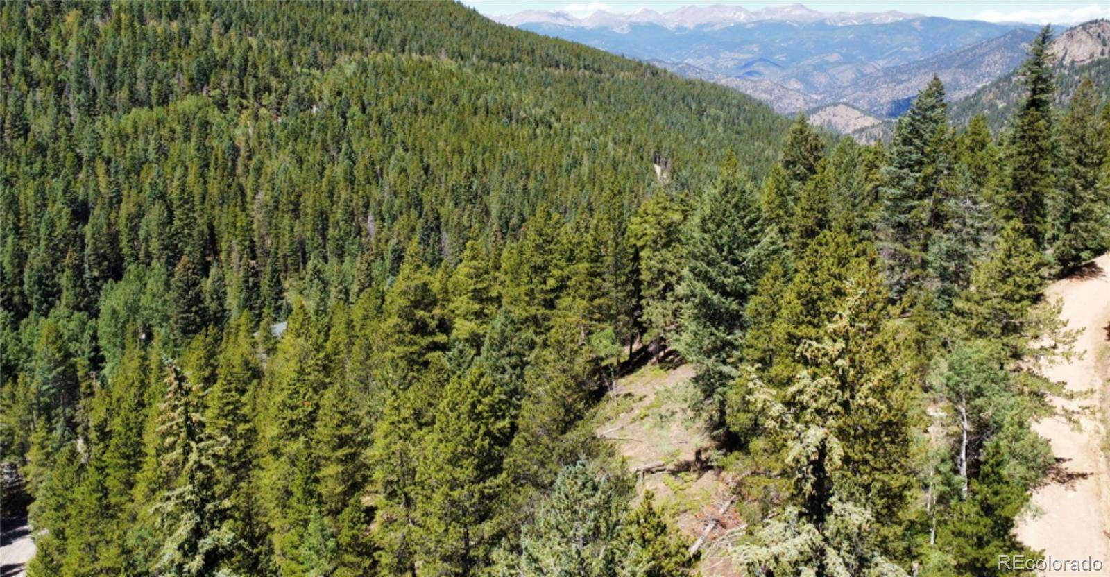 0 Blue Bell LN, Idaho Springs, CO 80452
