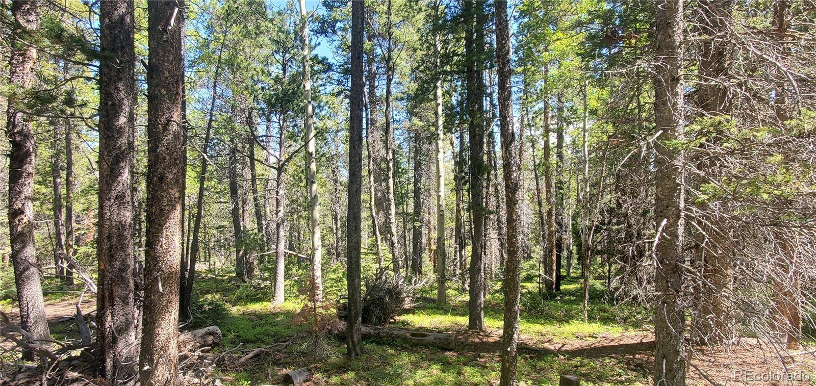 Lot 2914 Forbes Loop, Fort Garland, CO 81133