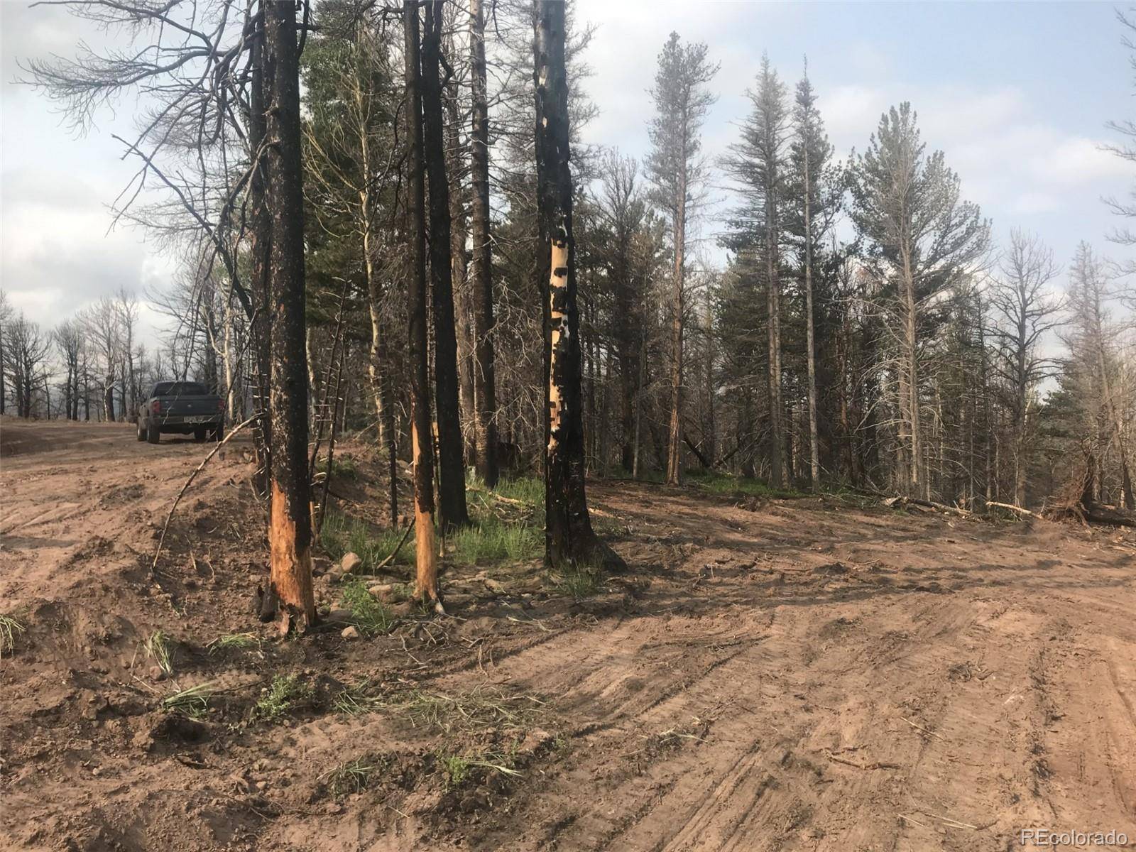 2736 Newman PL, Fort Garland, CO 81133