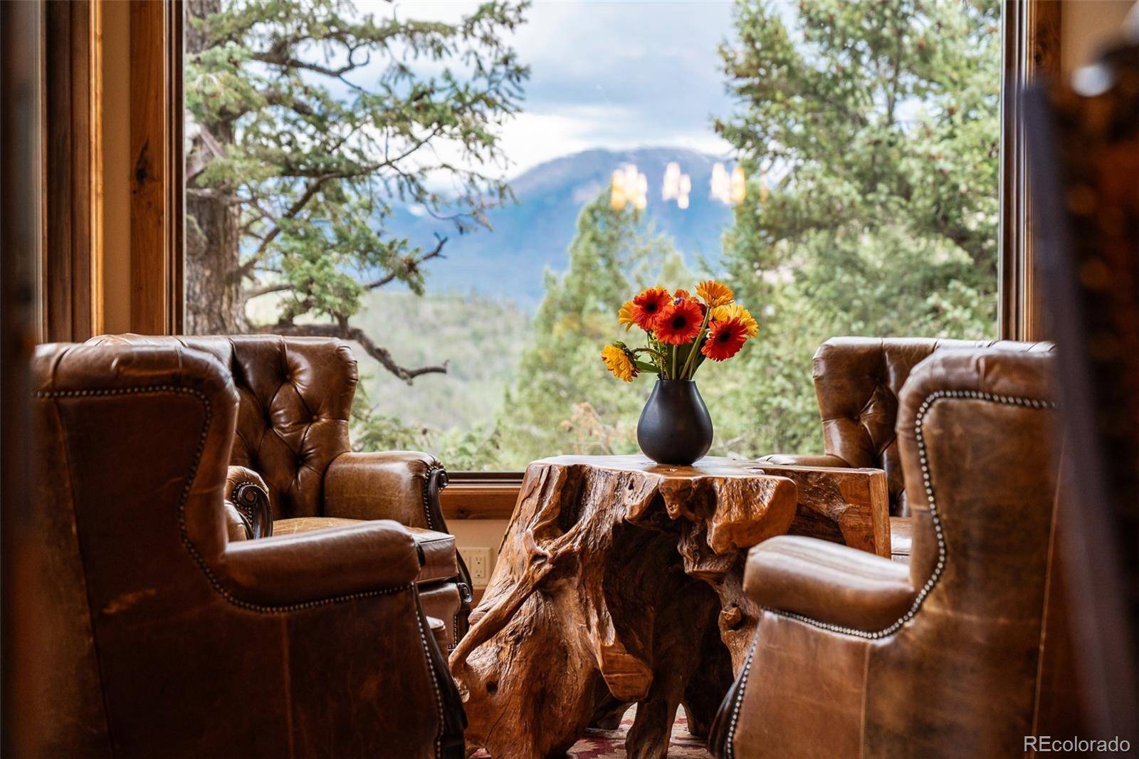 31 Pinnacle LN, Dillon, CO 80435