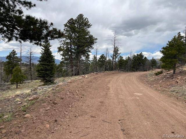 Lot 513 Leslie LOOP, Fort Garland, CO 81133
