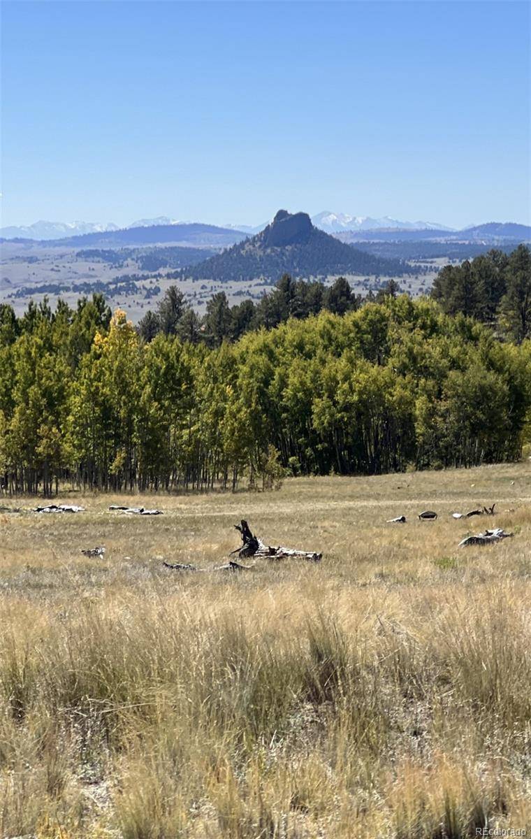 503 Sugar Loaf LN, Jefferson, CO 80456