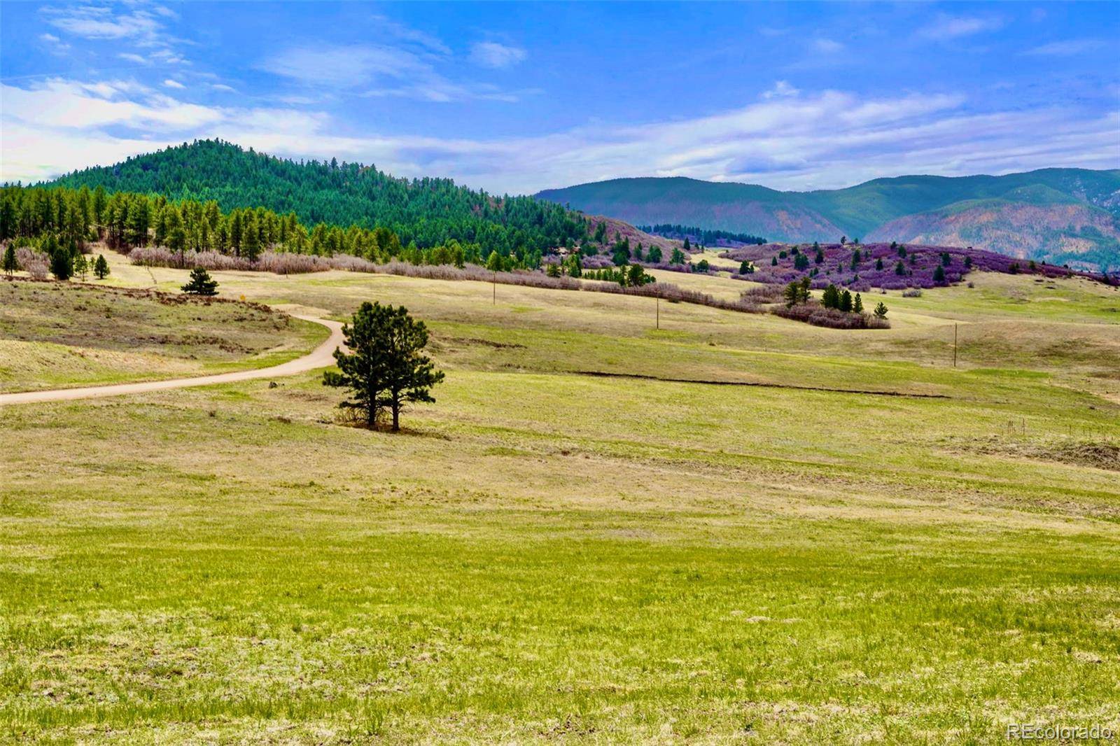 1 S Perry Park RD, Larkspur, CO 80118