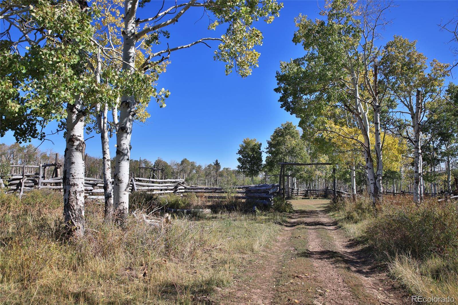 000 Divide RD, Whitewater, CO 81527
