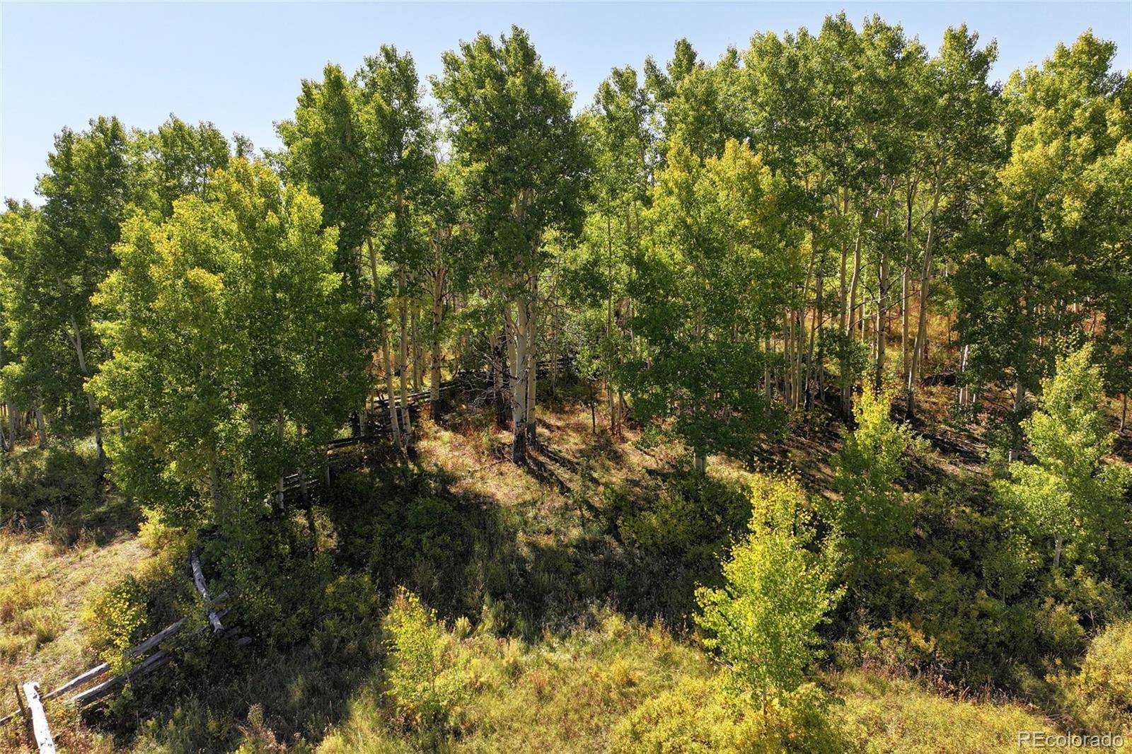 000 Divide RD, Whitewater, CO 81527